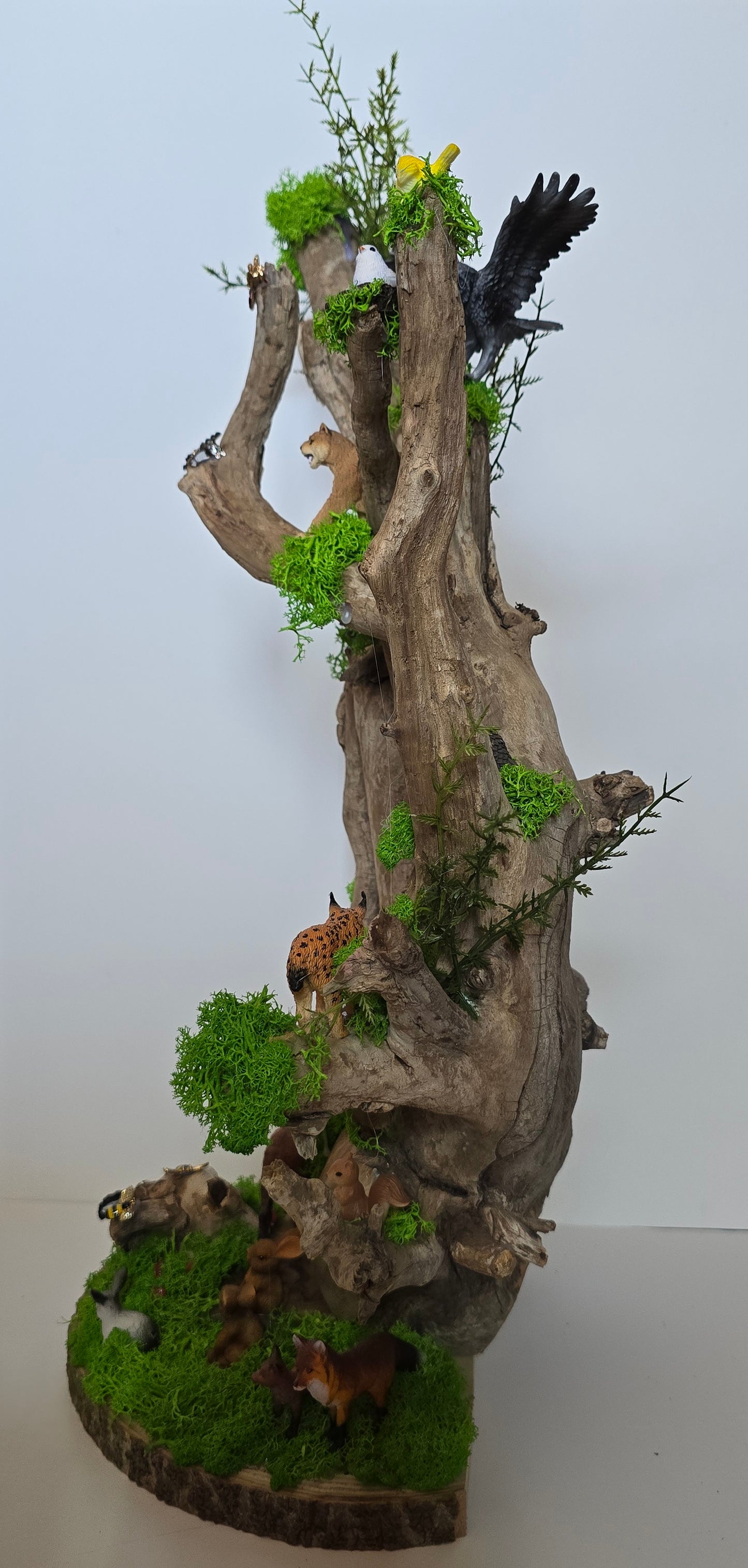 Unique tree and animal scene