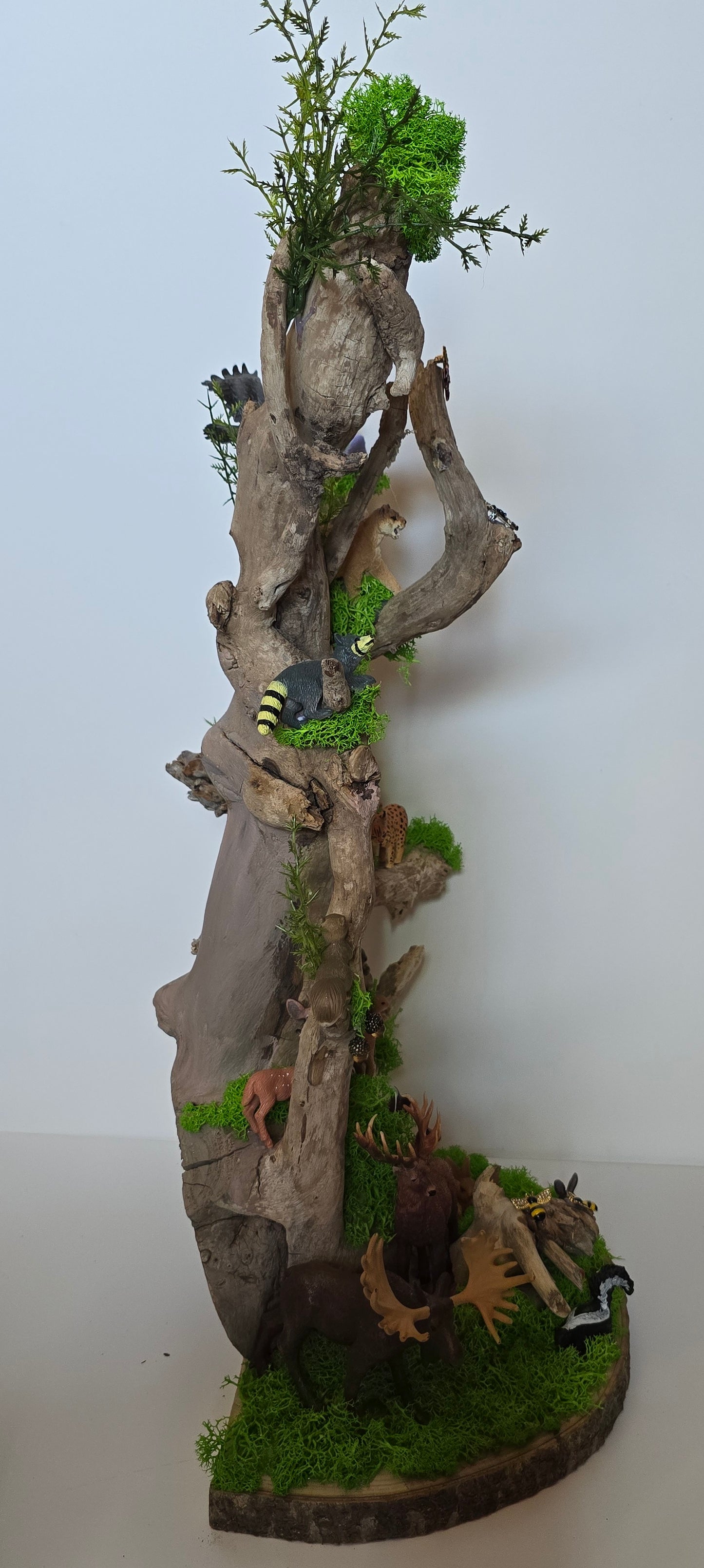 Unique tree and animal scene