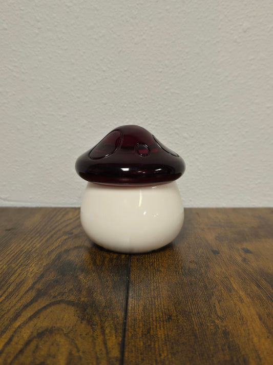 Mushroom with Hollow Base for All Kinds of Storage Or Hidden Small Items.