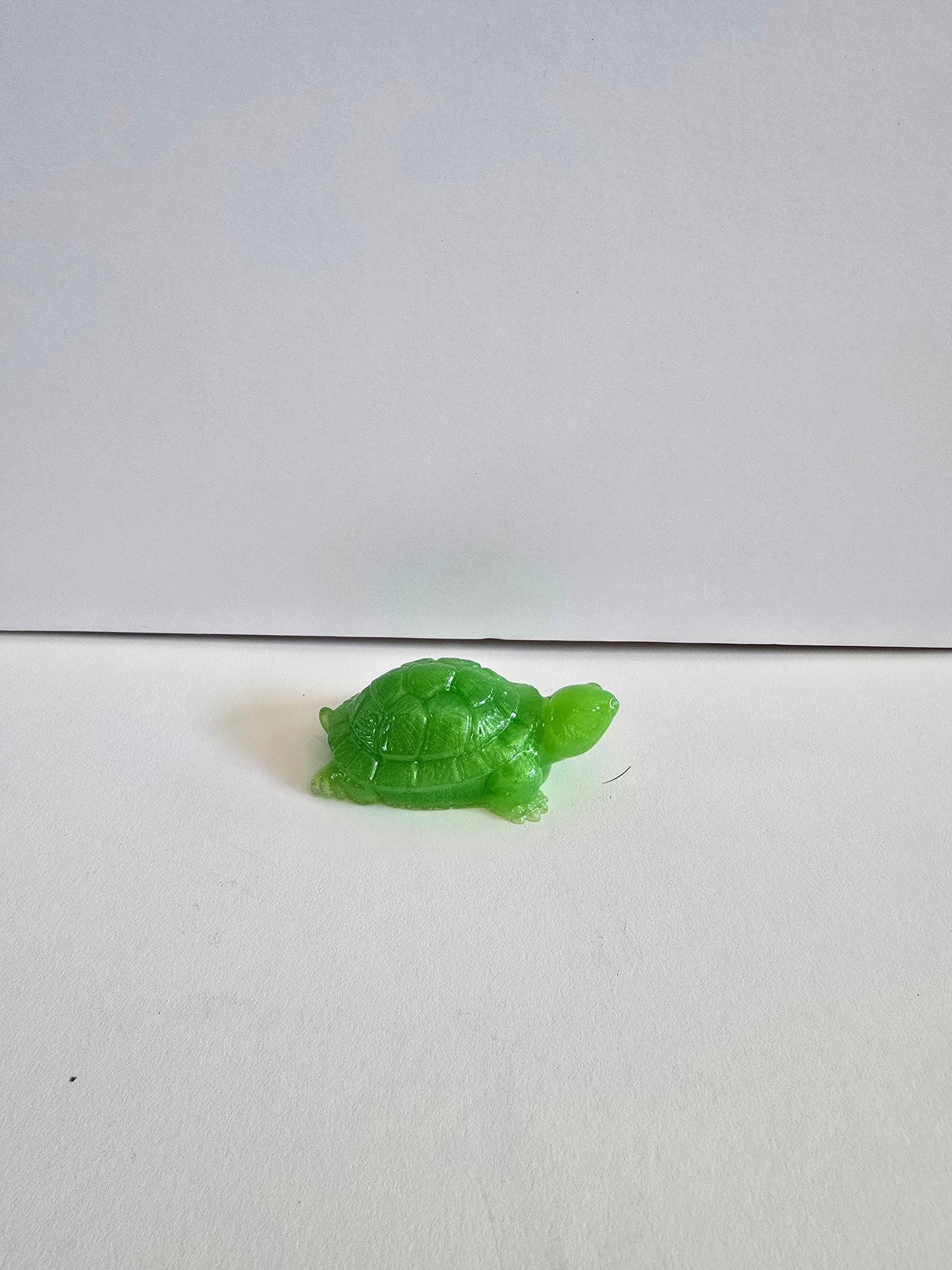 Cute Little Green Turtle. Only 2 By 2 Inches.