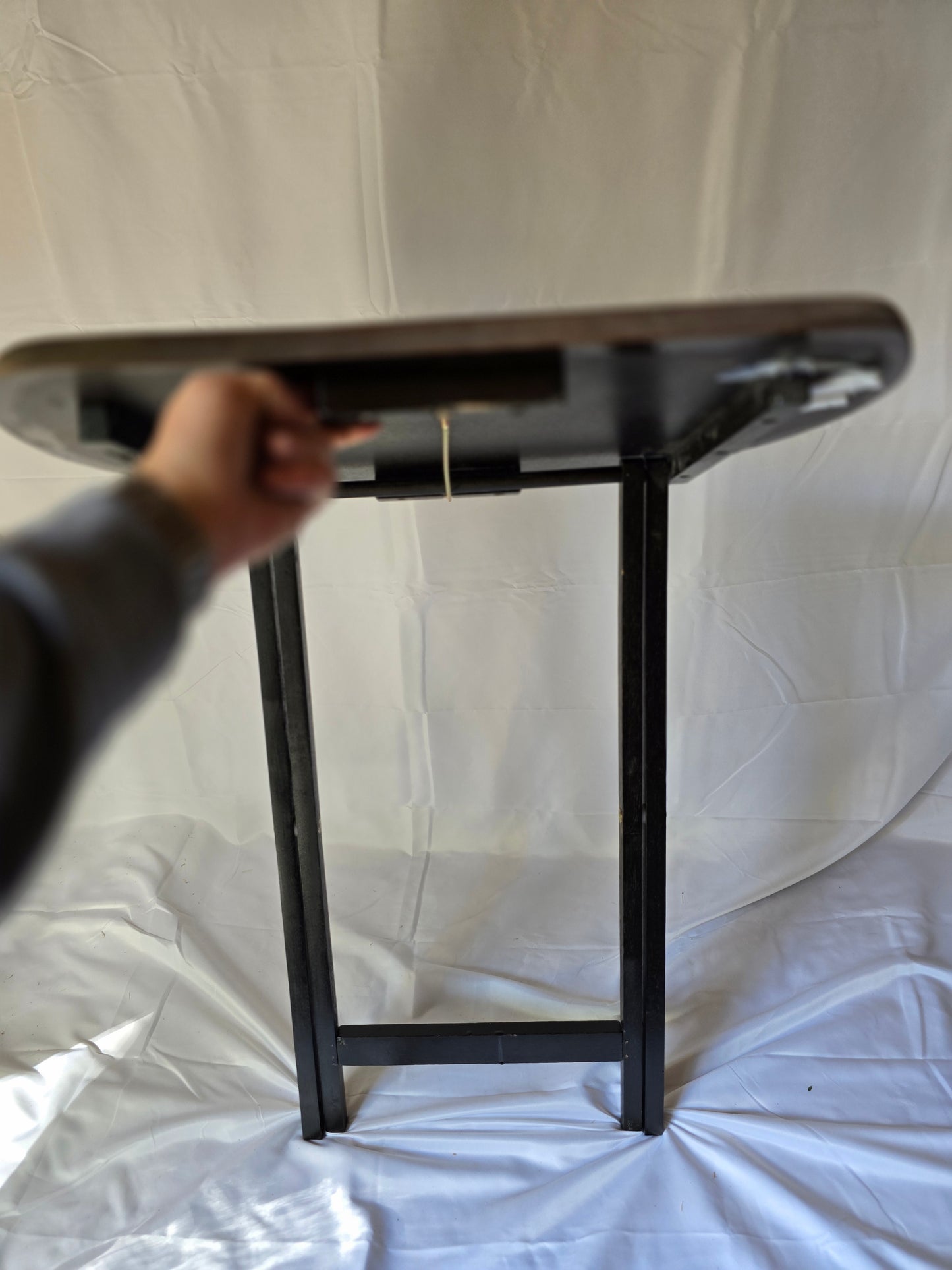 Decorated TV Tray.A Red Lichtenburg Tree In It And A Dragon Protecting its gold.